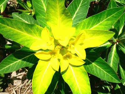 Visit Nepal Year 2020 Visit Nepal Year 2020