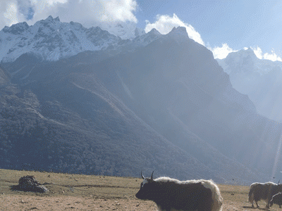 Tilman Pass Trekking