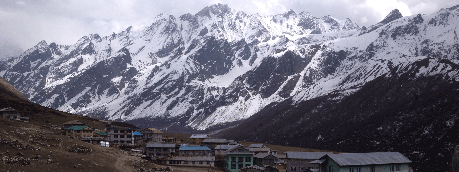 2500 steps Tsergo Ri Langtang Valley Trekking