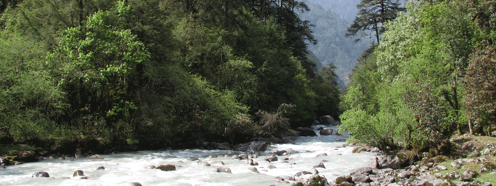 Langtang Valley Trekking