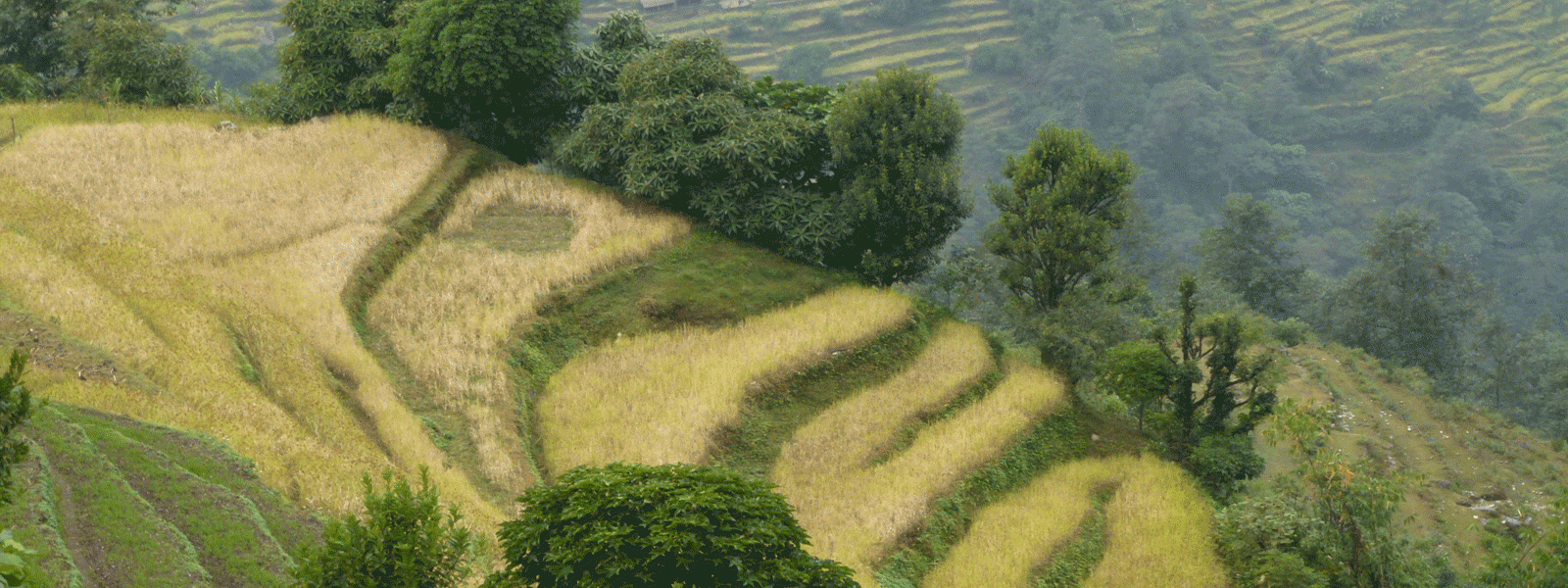 Naudanda Sarankot Hiking